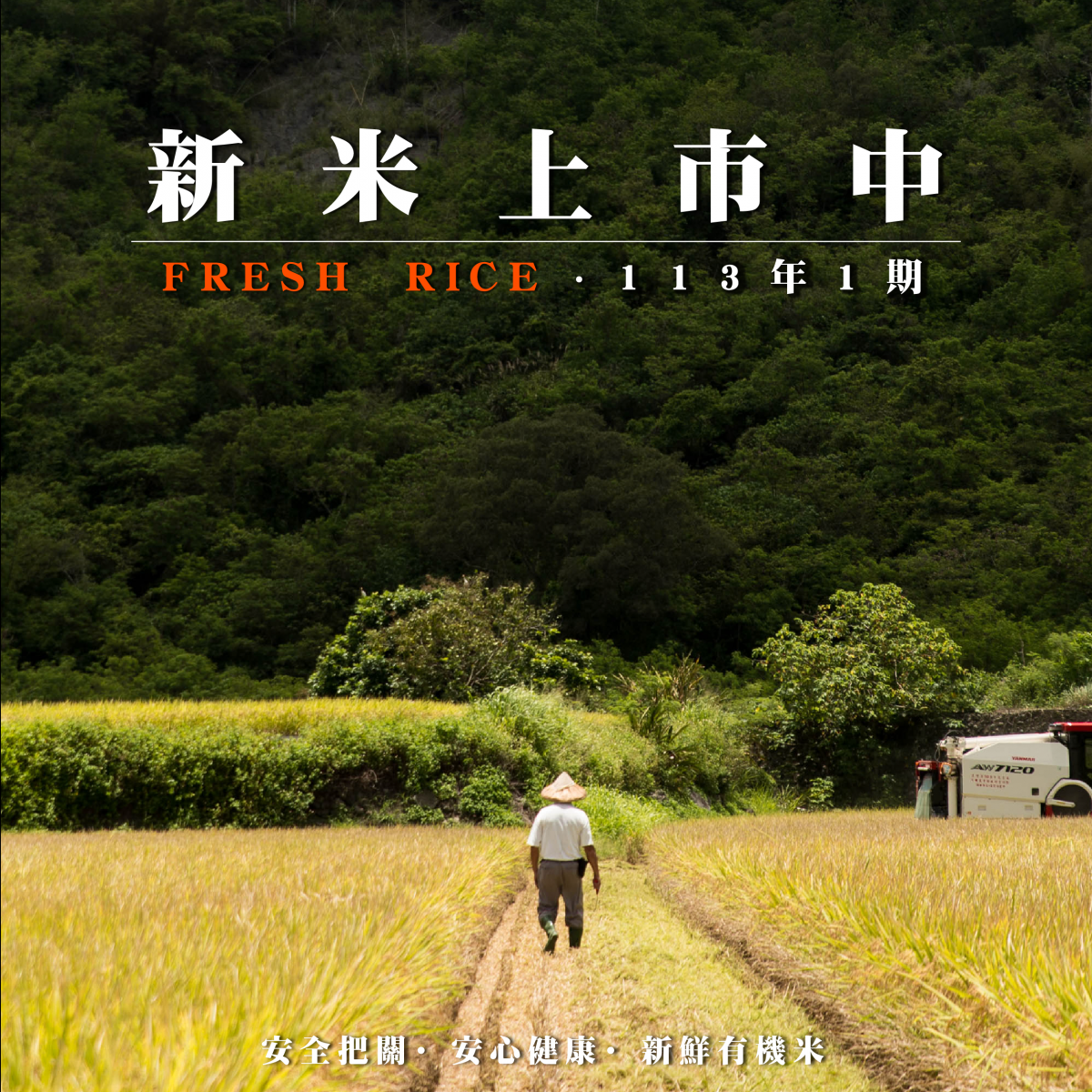 | 113年第1期 · 新米上市中 |