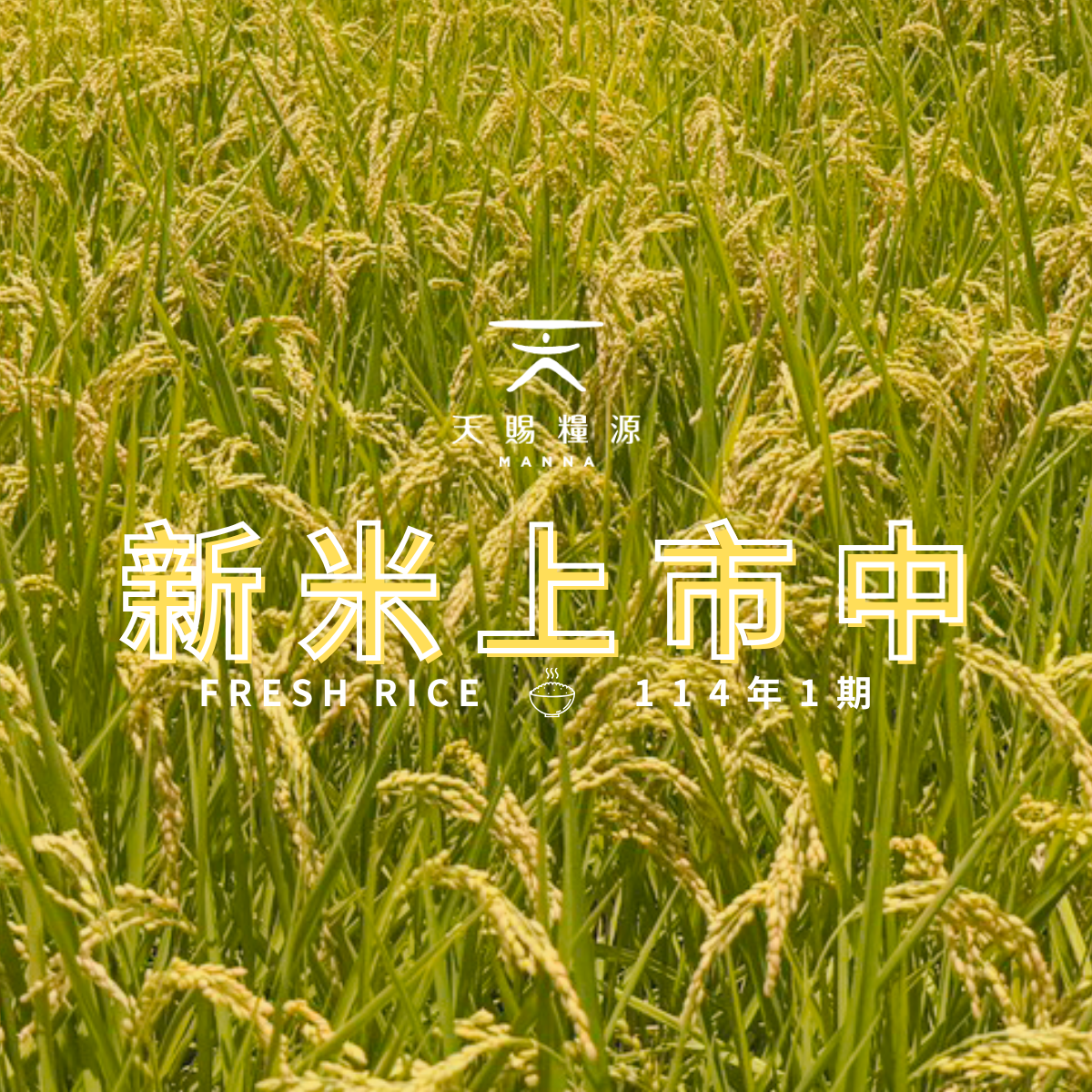 114-1 新米上市囉