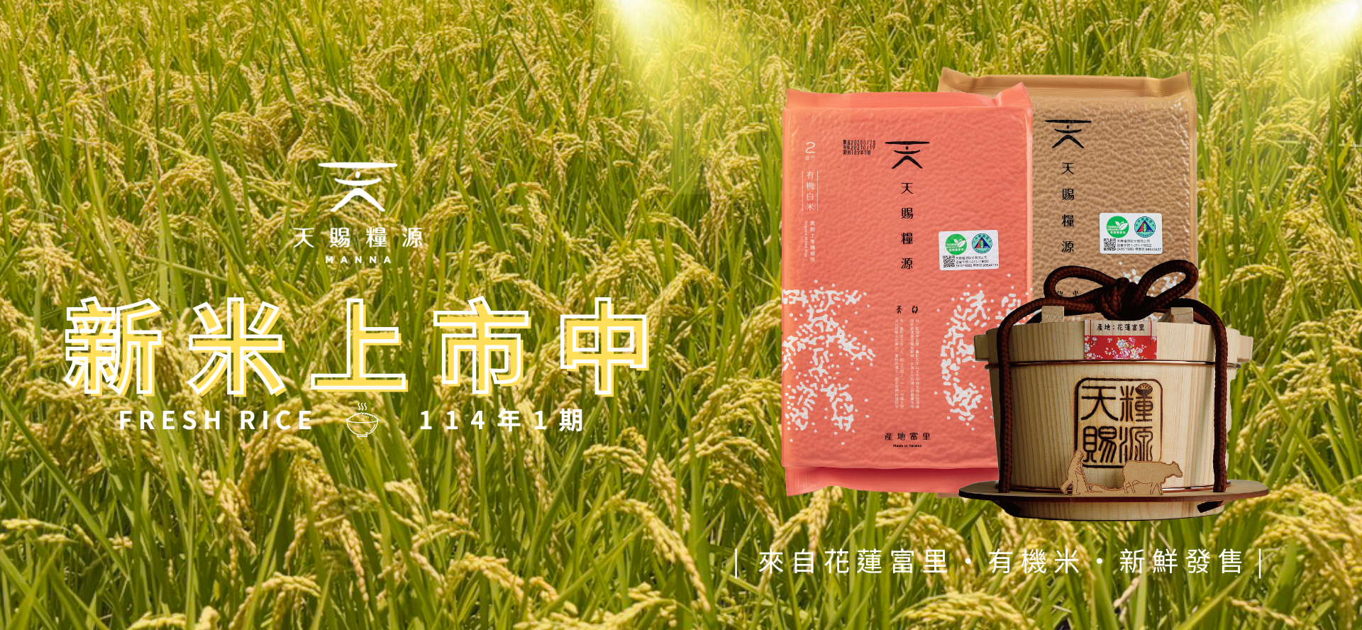 最新公告
